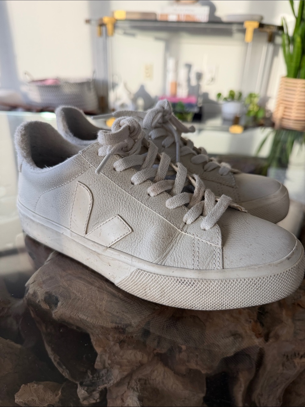 Veja White Low-Top Sneakers